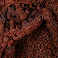  L&C Lab - Biomater - Square Shape